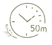50 minutos
